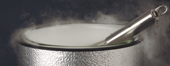 05252bd0c68089583763874ef30071b9_1512373237_74.png