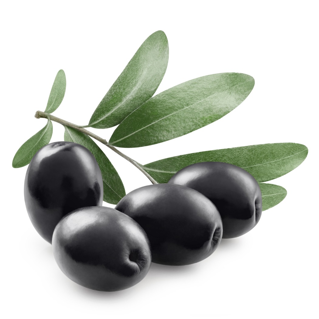 shutterstock_1557988916.jpg