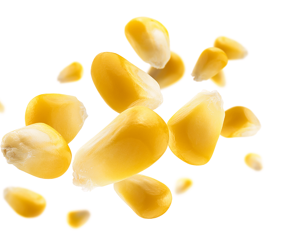shutterstock_1897515973.jpg