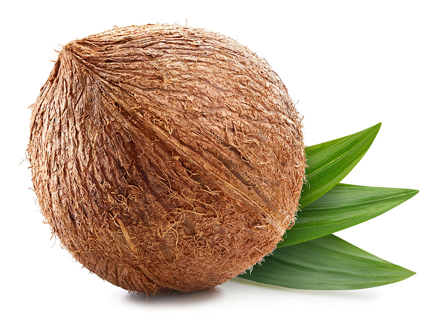 shutterstock_2301463919.jpg