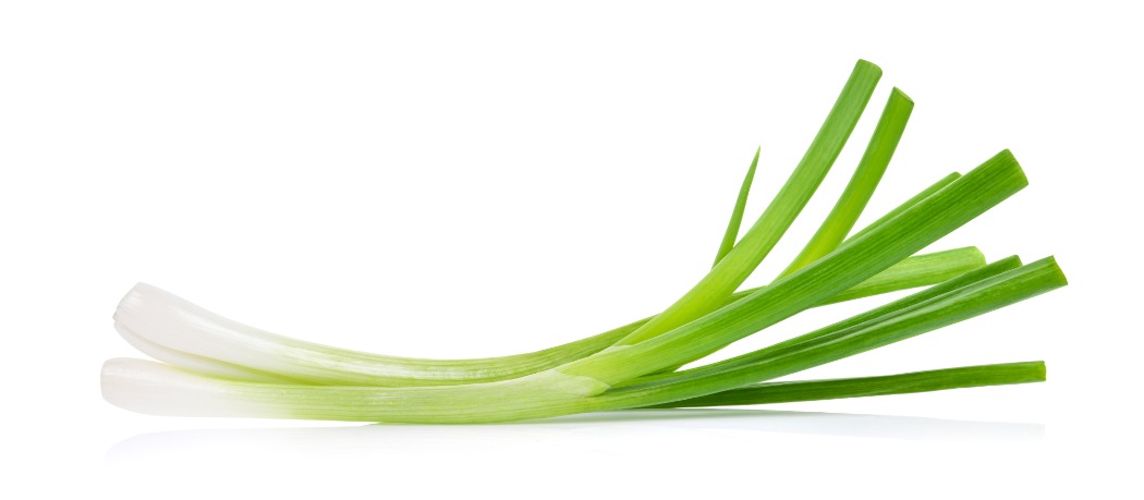 shutterstock_1584363325.jpg