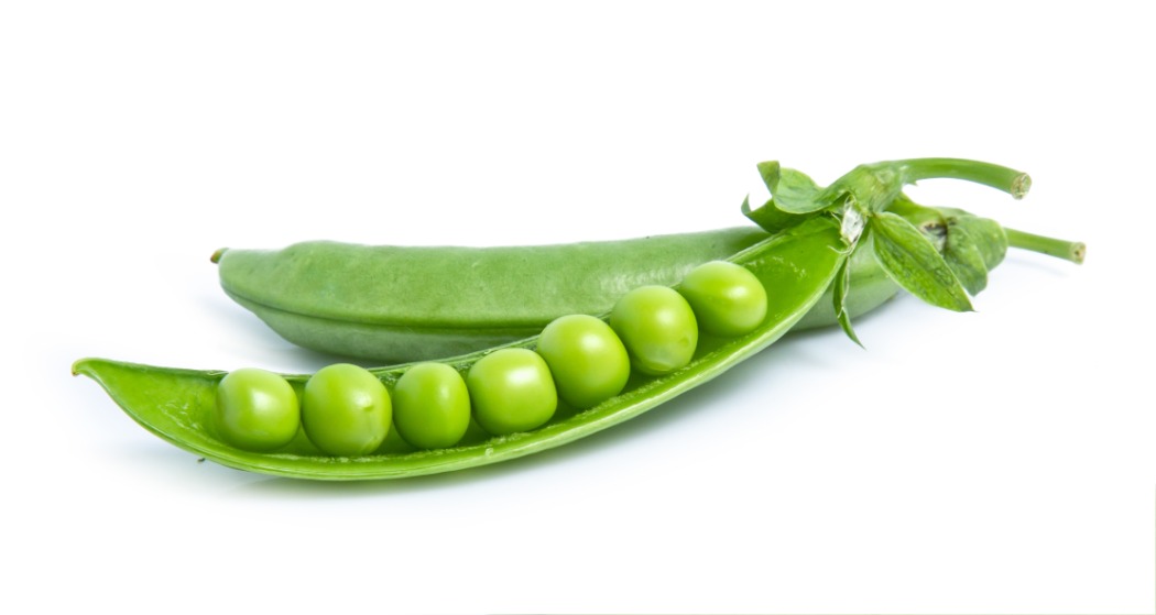 shutterstock_1680037924.jpg