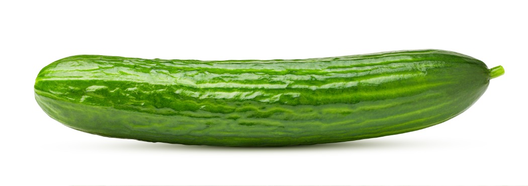 shutterstock_1227655114.jpg