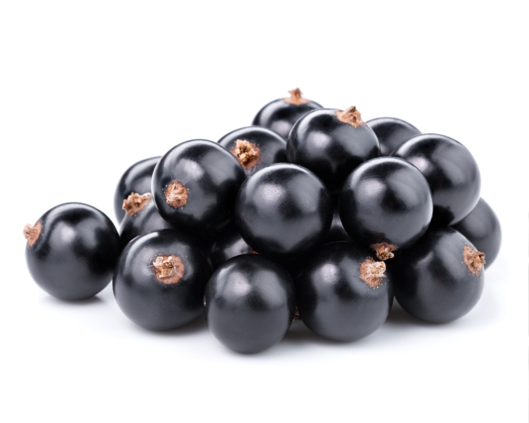 shutterstock_329688833.jpg