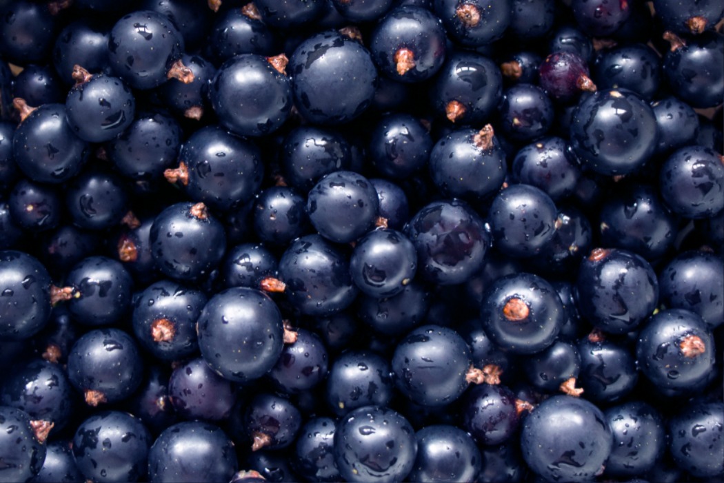 shutterstock_1448939696.jpg