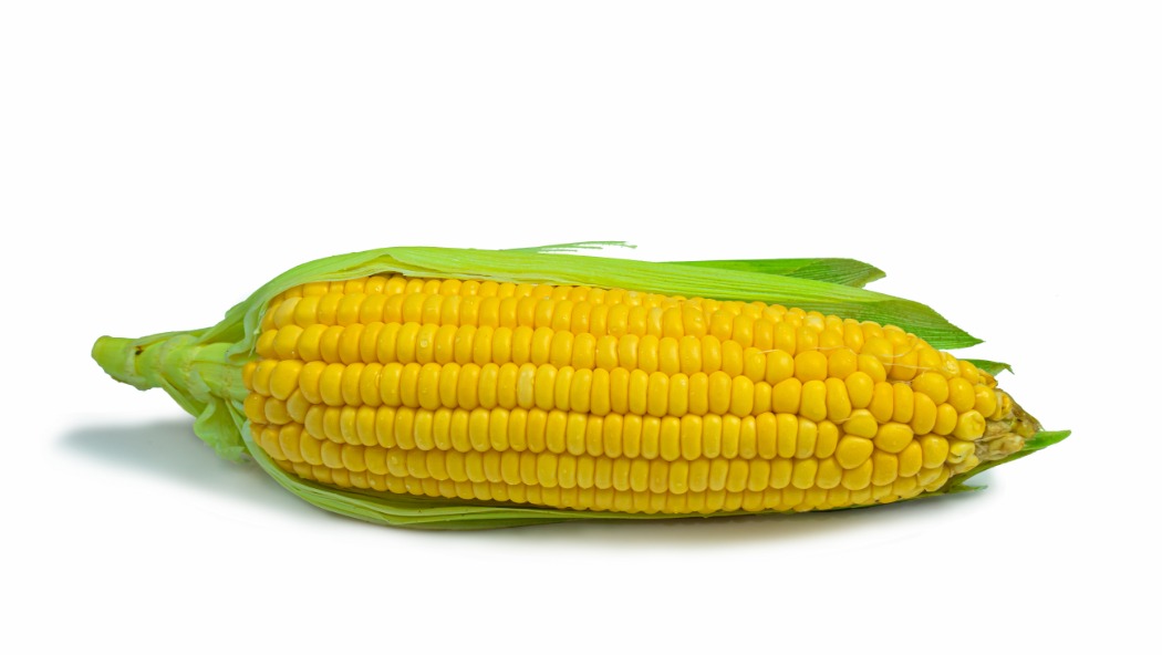 shutterstock_1930743293.jpg