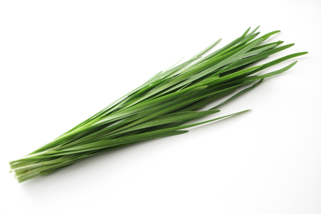 shutterstock_1102665836.jpg