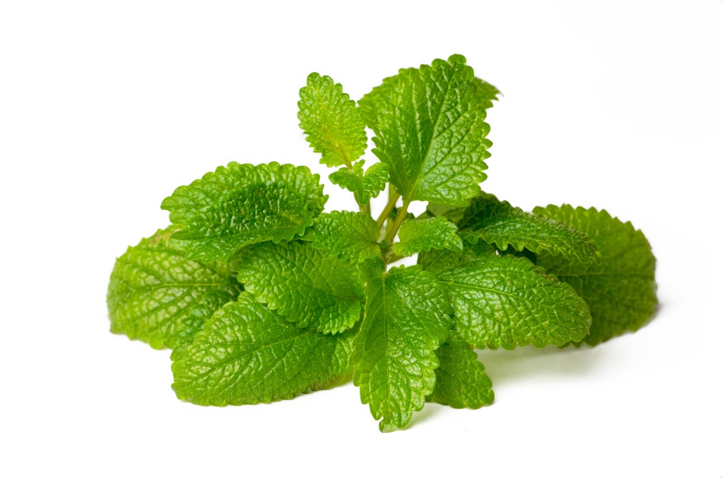 shutterstock_2291262537.jpg