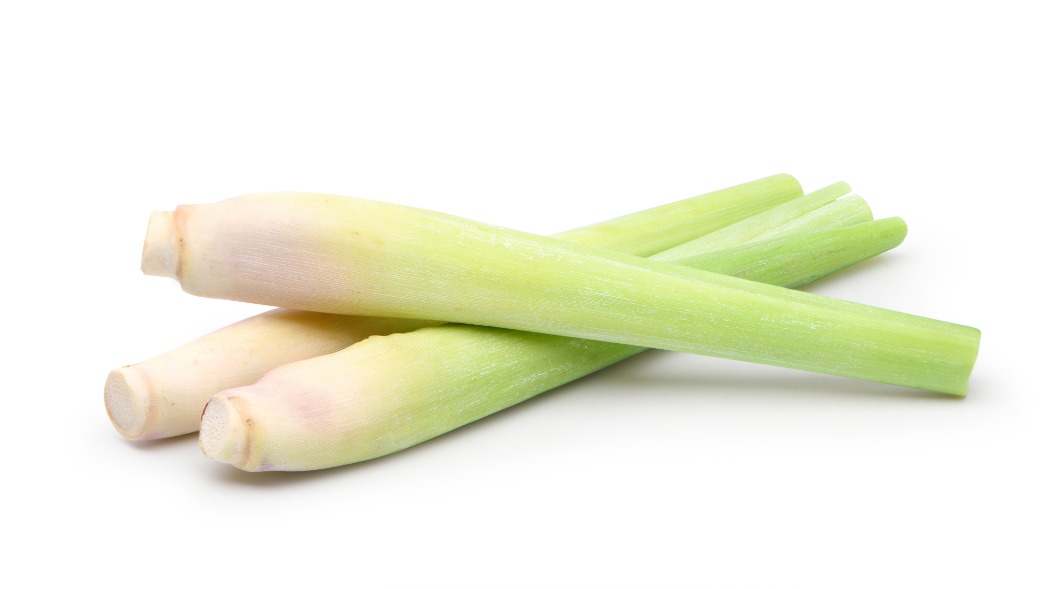 shutterstock_2194163011.jpg