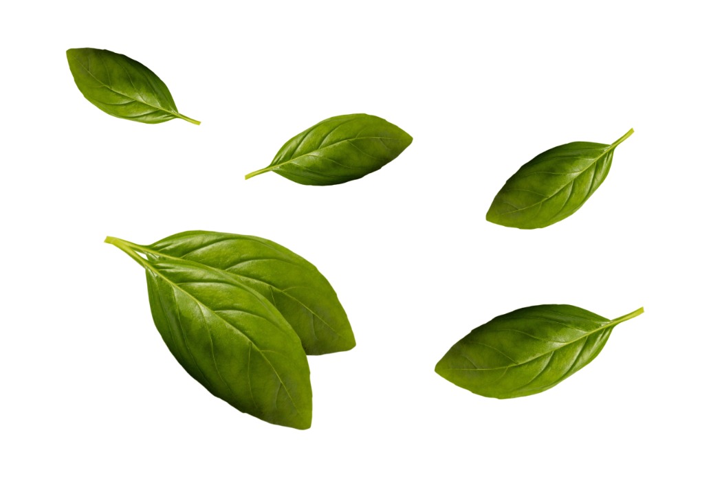 shutterstock_2354896239.jpg