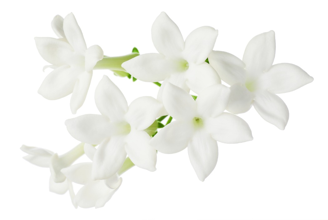 shutterstock_2630436135.jpg