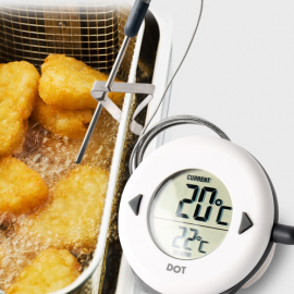 THERMOMETER FRYING